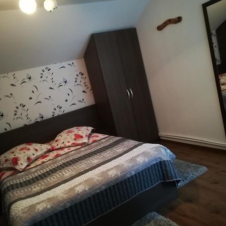 Rucăr Casa Raulヴィラ エクステリア 写真