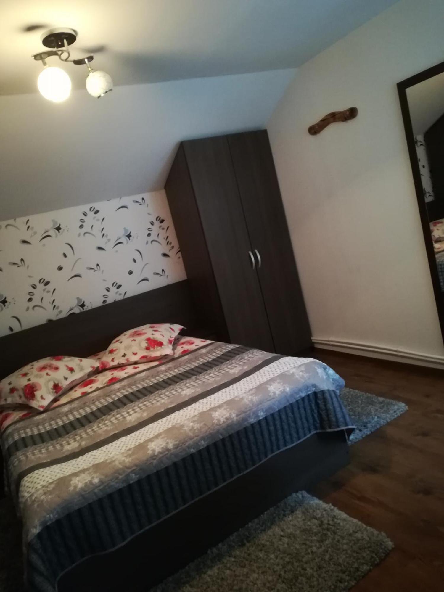 Rucăr Casa Raulヴィラ エクステリア 写真