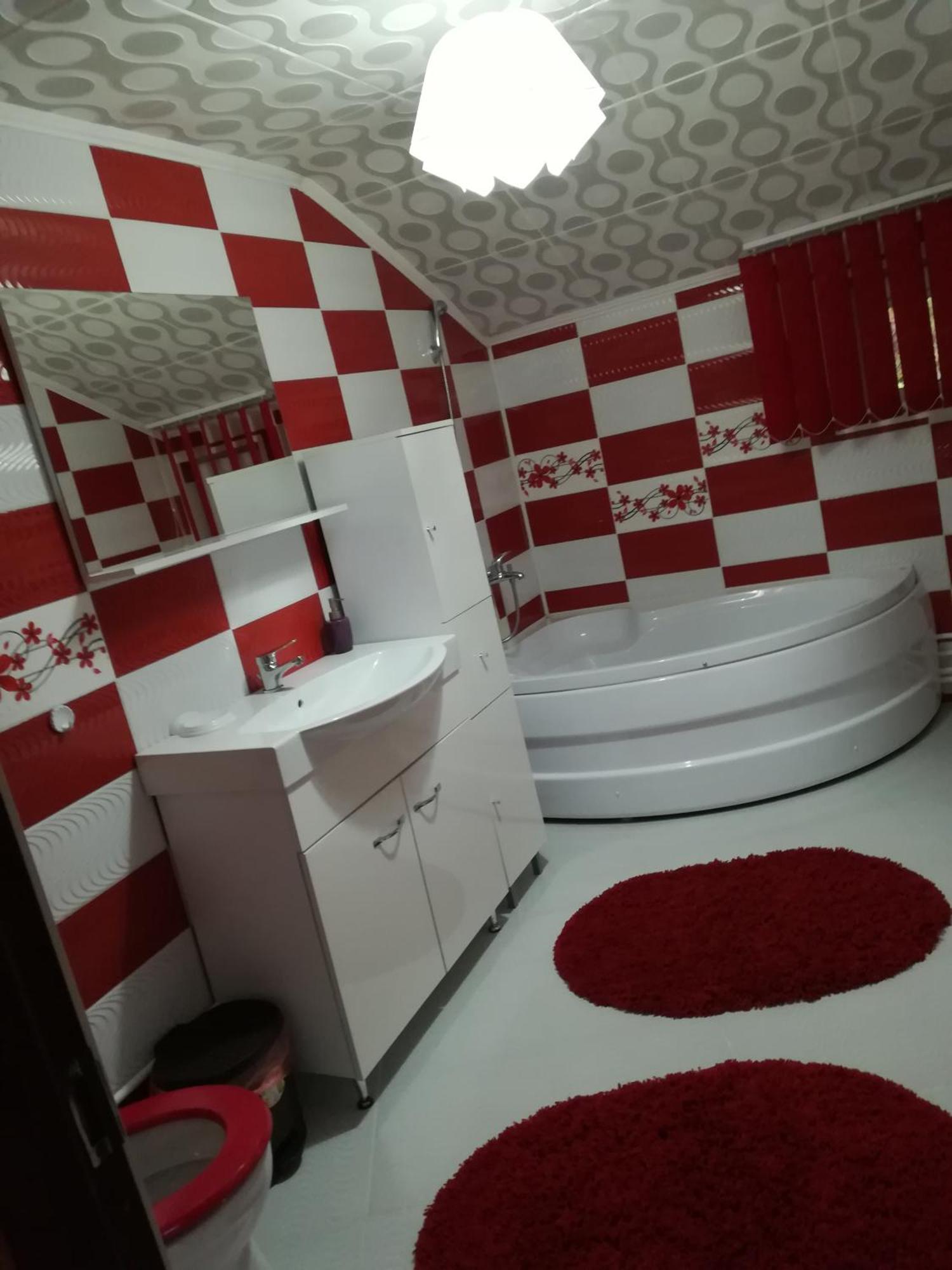 Rucăr Casa Raulヴィラ エクステリア 写真