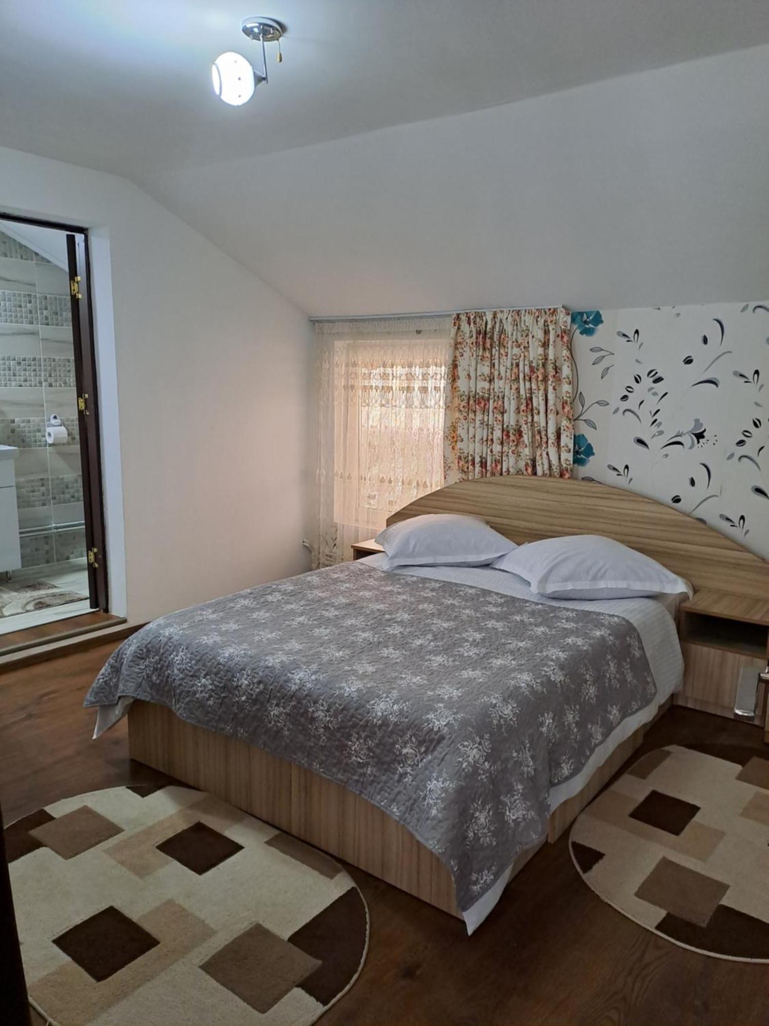 Rucăr Casa Raulヴィラ エクステリア 写真