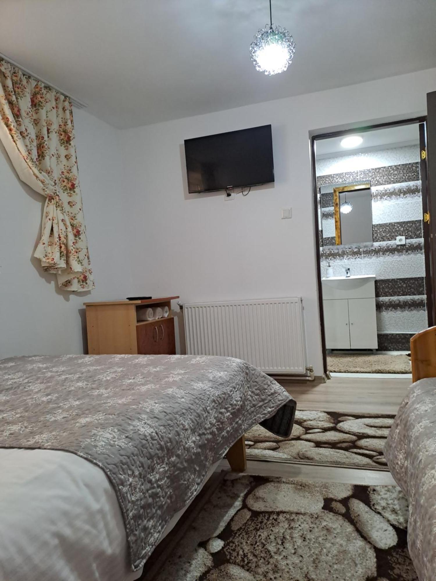 Rucăr Casa Raulヴィラ エクステリア 写真
