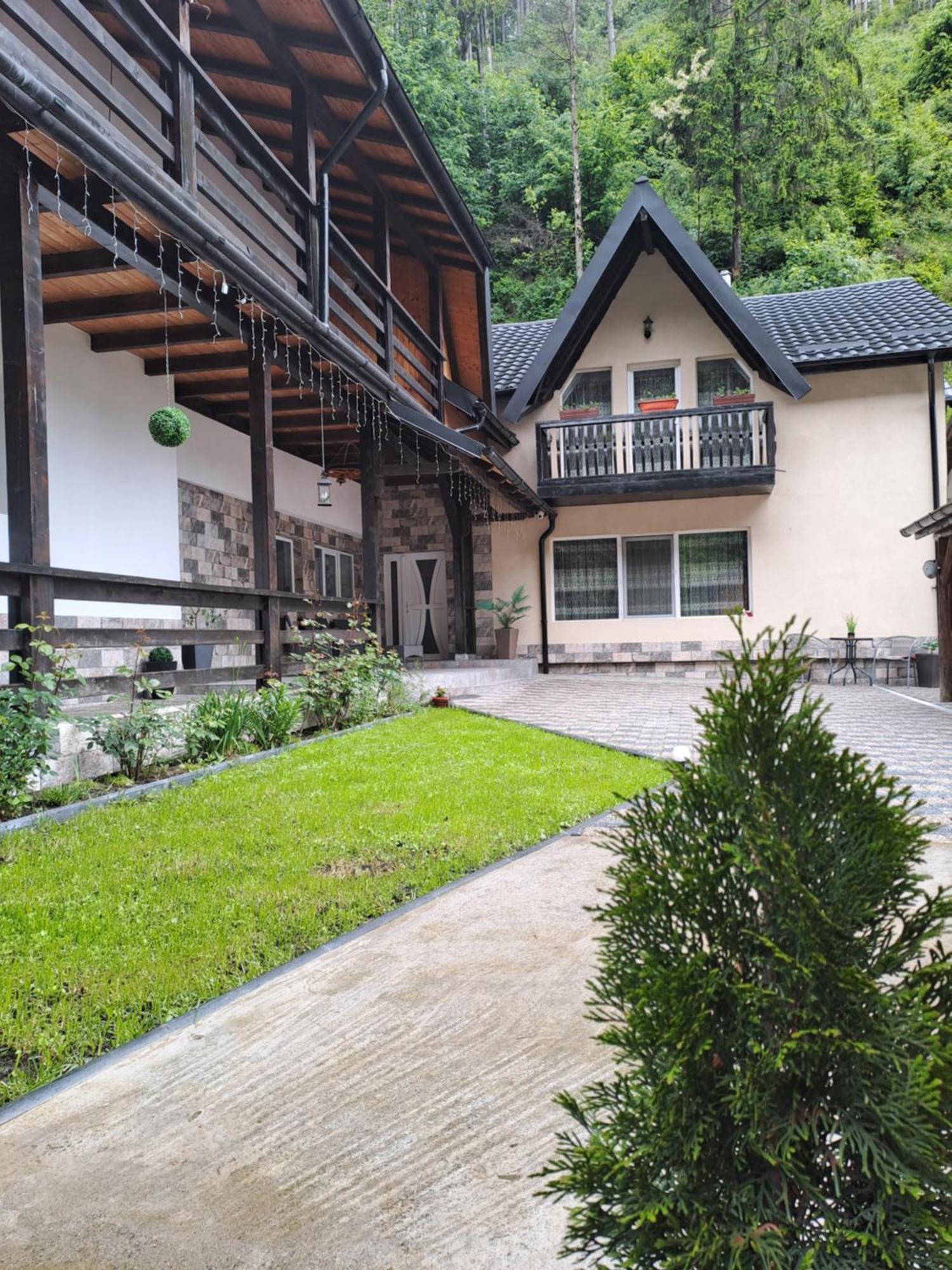Rucăr Casa Raulヴィラ エクステリア 写真